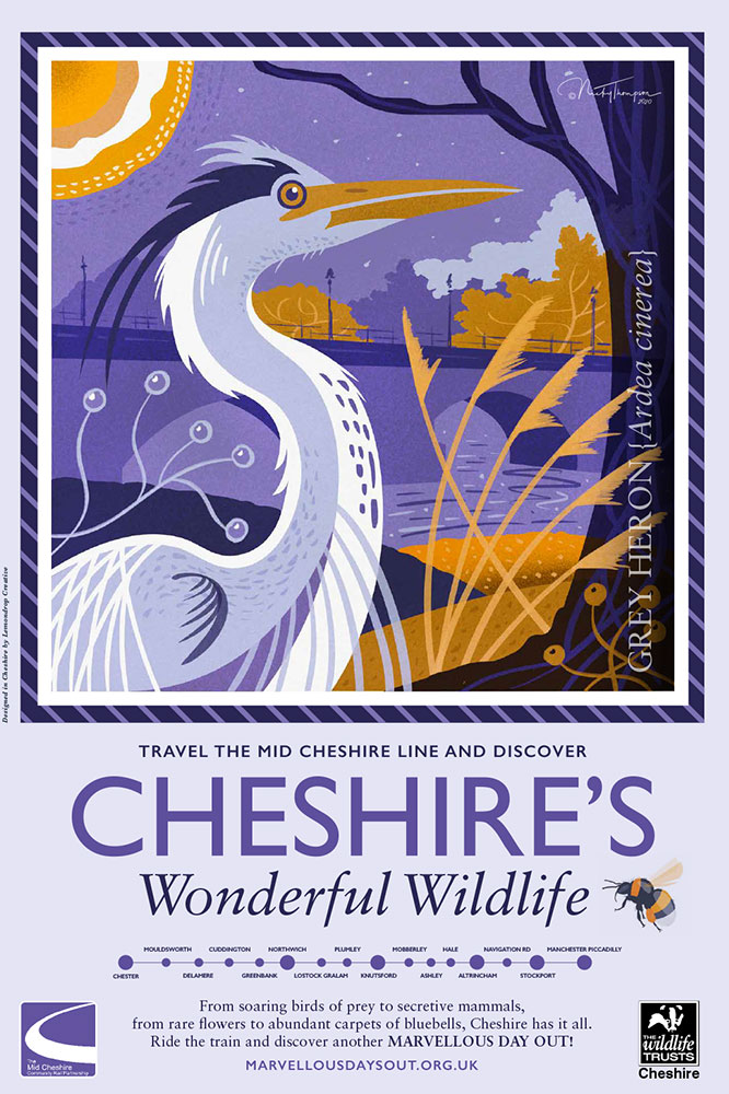 Cheshire's Wonderful Wildlife-Grey-Heron